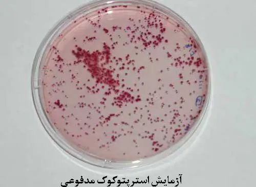 تصویر شماره 1 خدمت 