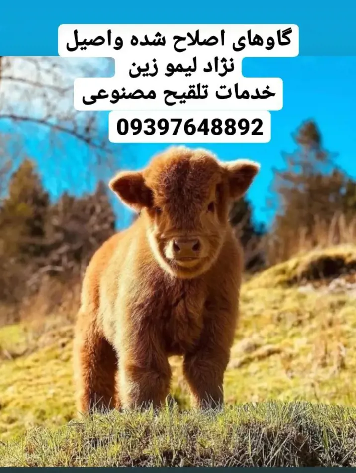 تصویر شماره 3 خدمت 