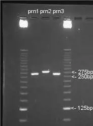 تصویر شماره 1 خدمت 