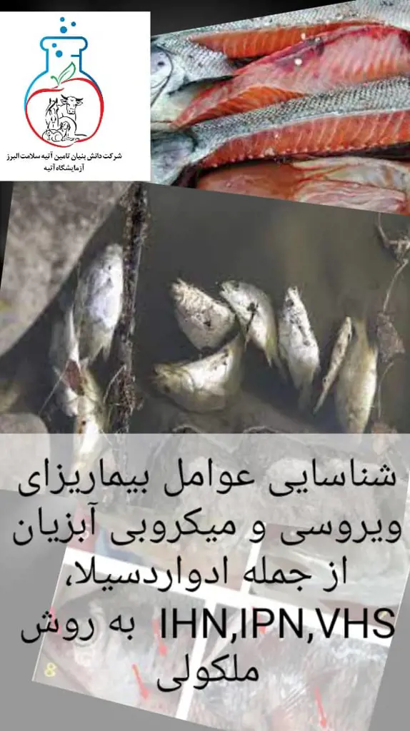 تصویر شماره 2 خدمت 