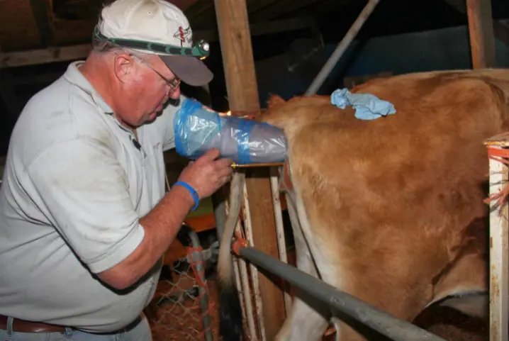 تصویر شماره 2 خدمت 