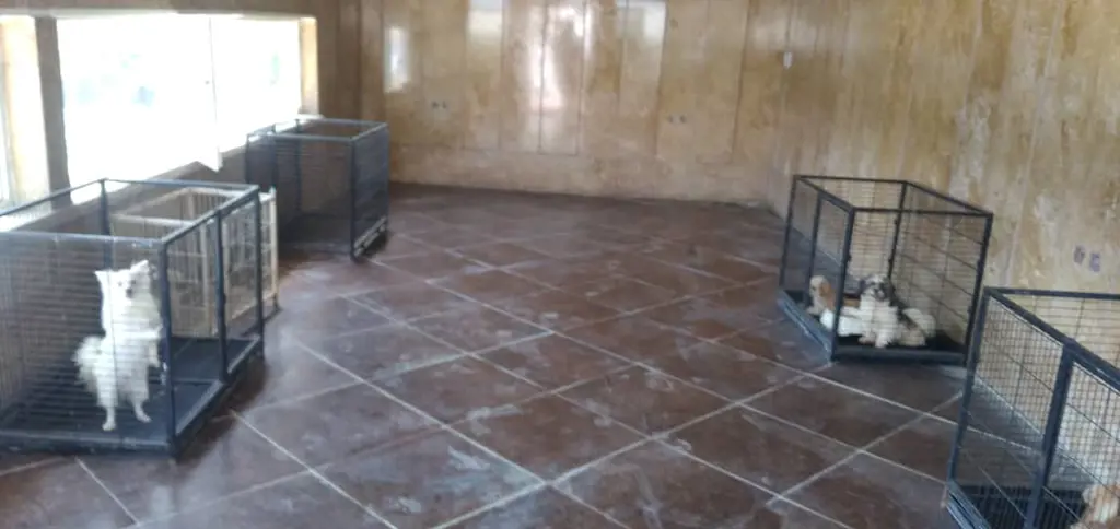 تصویر شماره 1 خدمت 