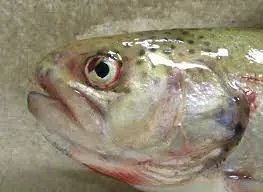 تصویر شماره 3 خدمت 