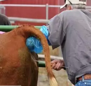 تصویر شماره 1 خدمت 