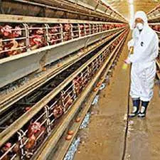 تصویر شماره 1 خدمت 