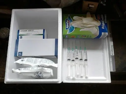 تصویر شماره 2 خدمت 