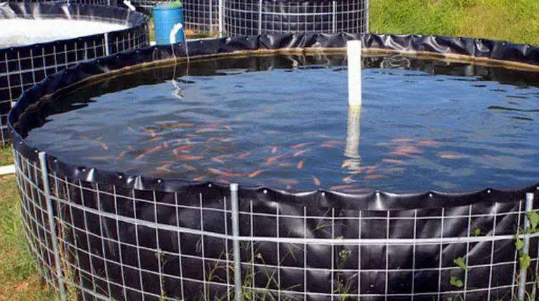 تصویر شماره 1 خدمت 