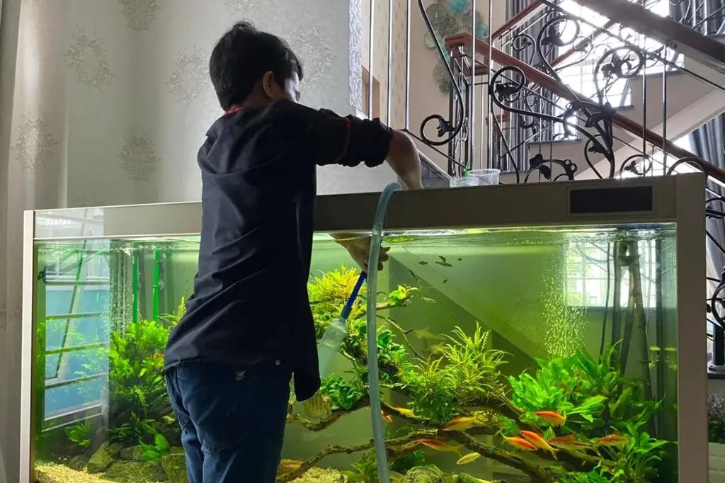 تصویر شماره 1 خدمت 