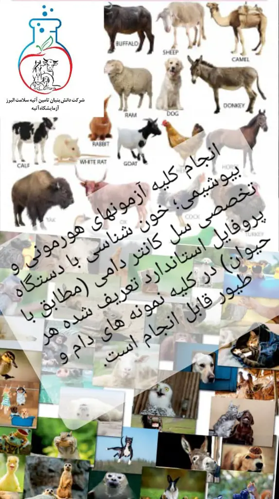 تصویر شماره 2 خدمت 