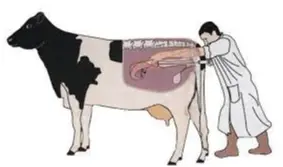 تصویر شماره 2 خدمت 