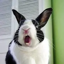 تصویر شماره 1 خدمت 