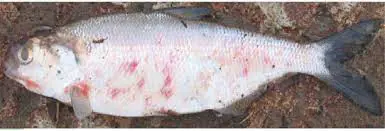 تصویر شماره 2 خدمت 