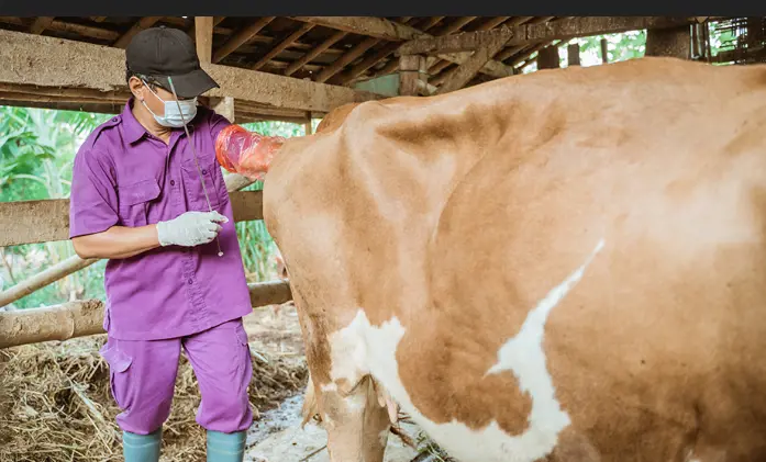 تصویر شماره 1 خدمت 