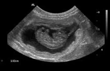 تصویر شماره 1 خدمت 