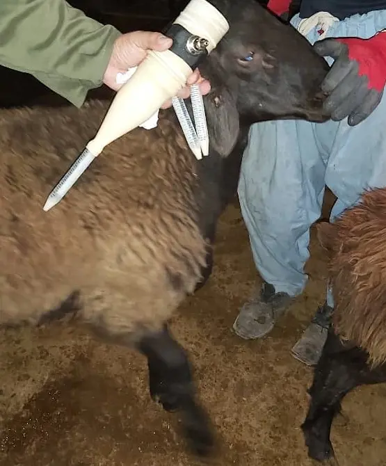 تصویر شماره 2 خدمت 