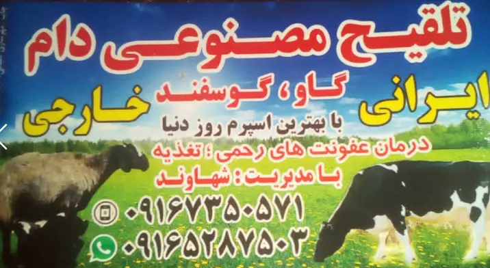 تصویر شماره 1 خدمت 