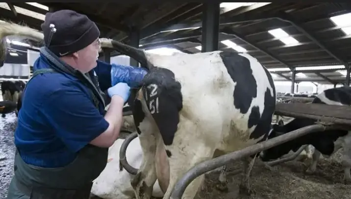 تصویر شماره 2 خدمت 