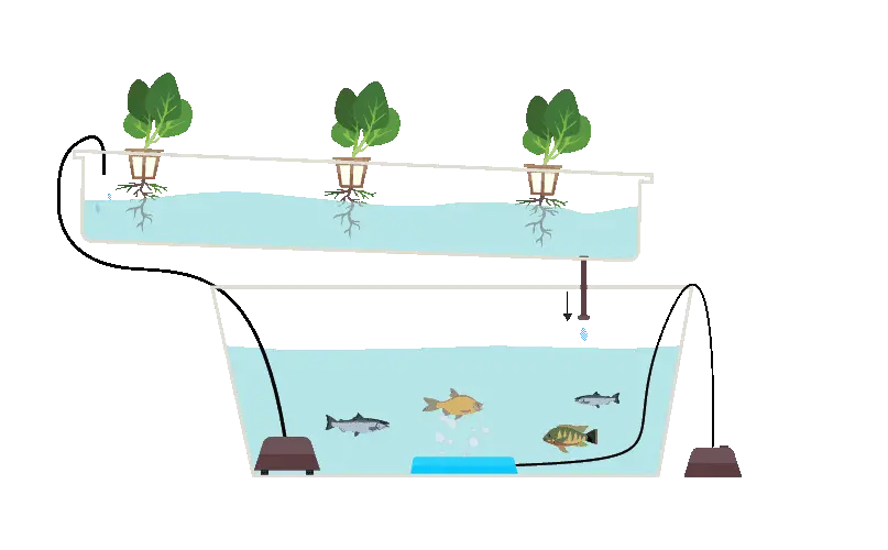 تصویر شماره 1 خدمت 