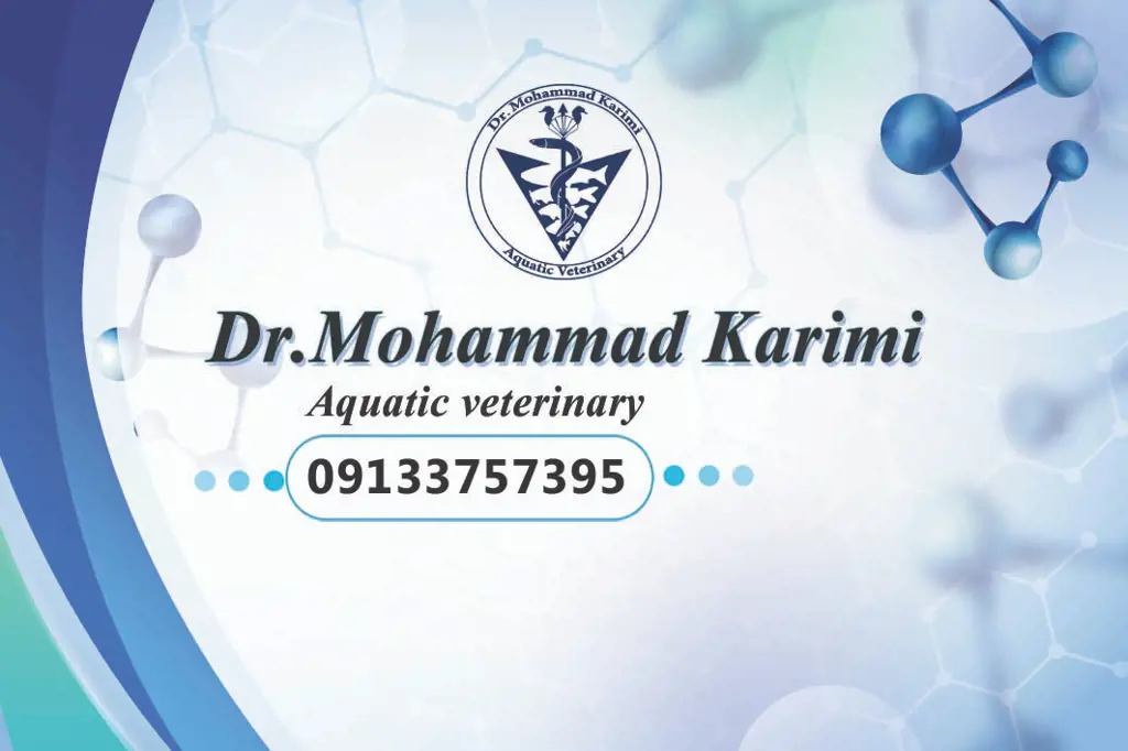 تصویر شماره 1 خدمت 