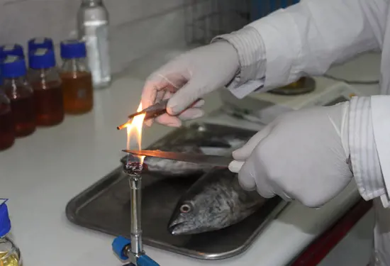 تصویر شماره 1 خدمت 