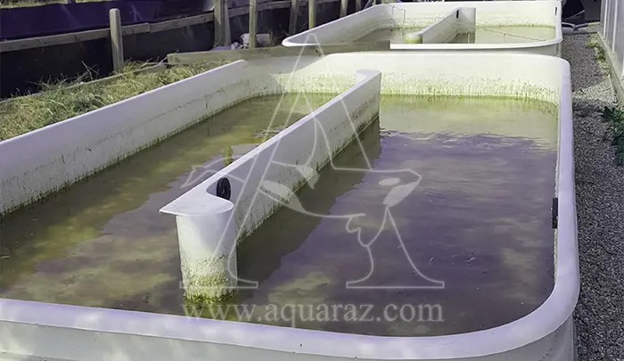 تصویر شماره 2 خدمت 