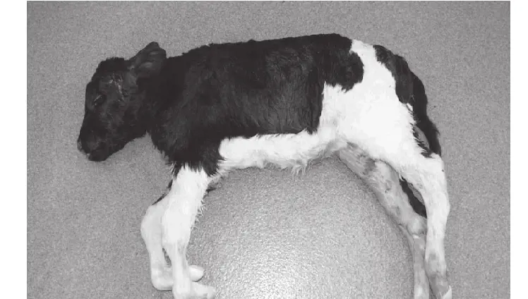 تصویر شماره 1 خدمت 