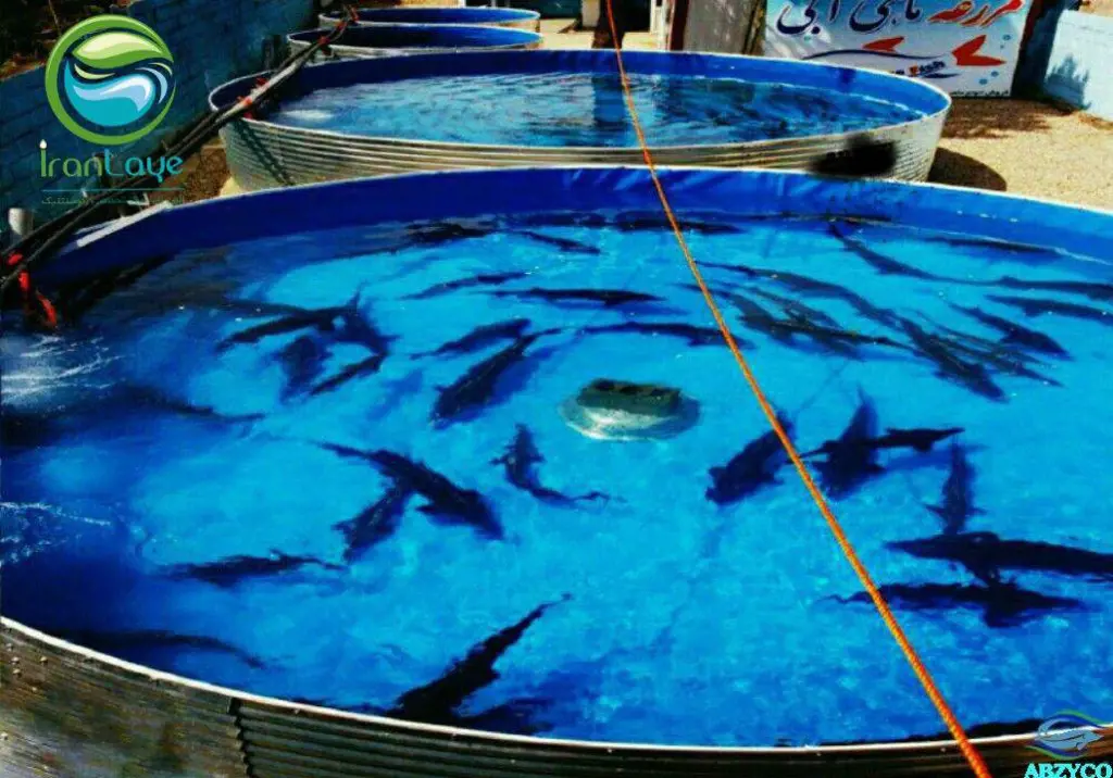 تصویر شماره 1 خدمت 