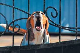 تصویر شماره 1 خدمت 