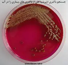 تصویر شماره 1 خدمت 