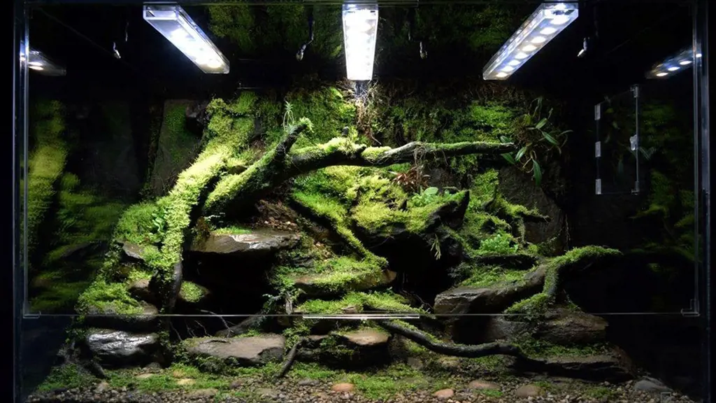 تصویر شماره 1 خدمت 