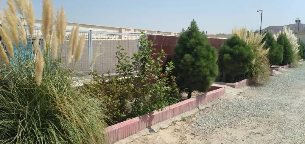 تصویر شماره 3 خدمت 