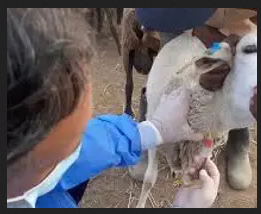تصویر شماره 1 خدمت 