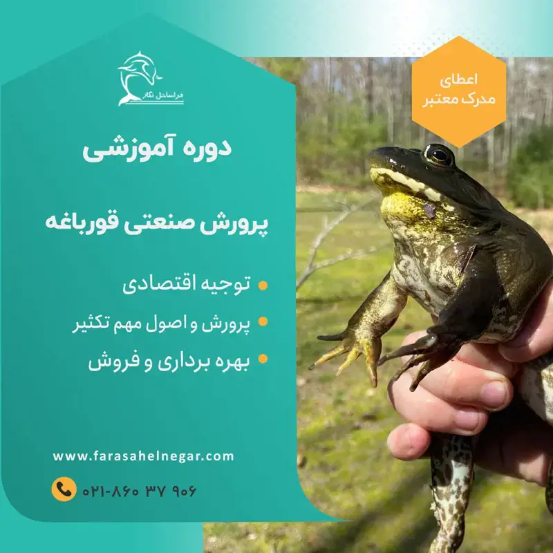 تصویر شماره 1 خدمت 