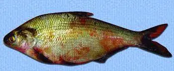 تصویر شماره 3 خدمت 