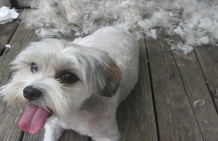 تصویر شماره 1 خدمت 