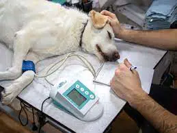 تصویر شماره 1 خدمت 