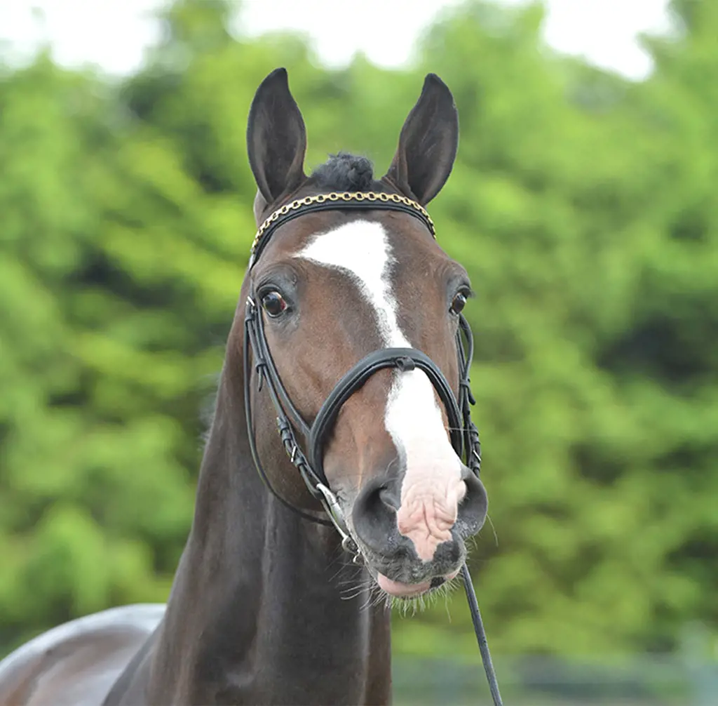 تصویر شماره 2 خدمت 