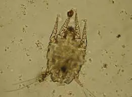 تصویر شماره 2 خدمت 