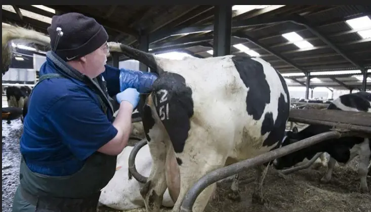 تصویر شماره 1 خدمت 