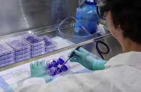 تصویر شماره 1 خدمت 