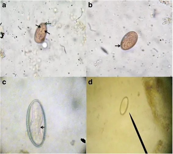 تصویر شماره 1 خدمت 