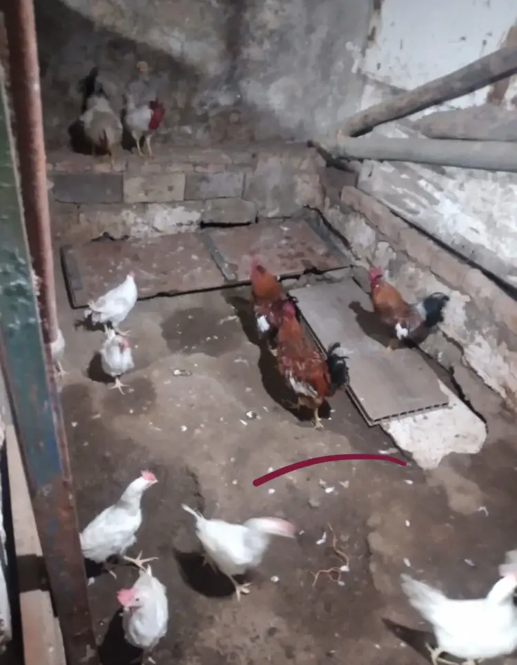 تصویر شماره 1 خدمت 