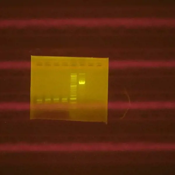 تصویر شماره 1 خدمت 