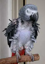 تصویر شماره 1 خدمت 