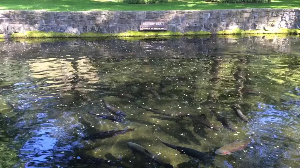 تصویر شماره 1 خدمت 