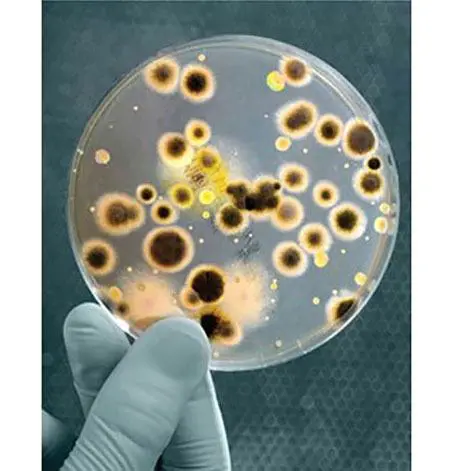 تصویر شماره 1 خدمت 