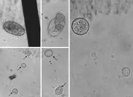 تصویر شماره 2 خدمت 