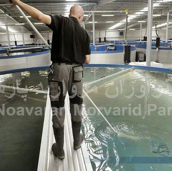 تصویر شماره 2 خدمت 