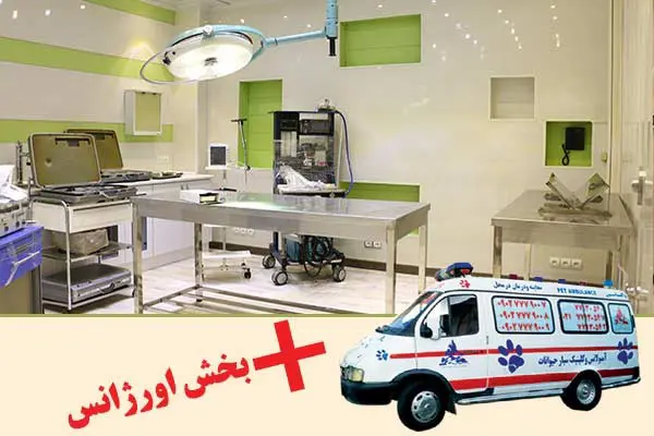 تصویر شماره 2 خدمت 