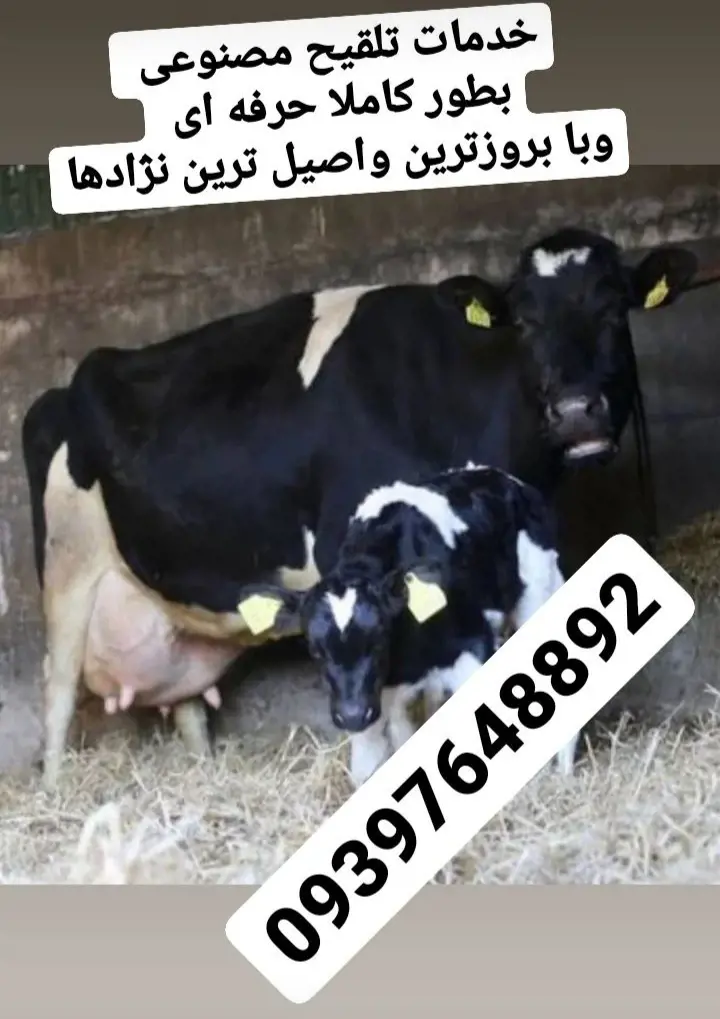 تصویر شماره 1 خدمت 